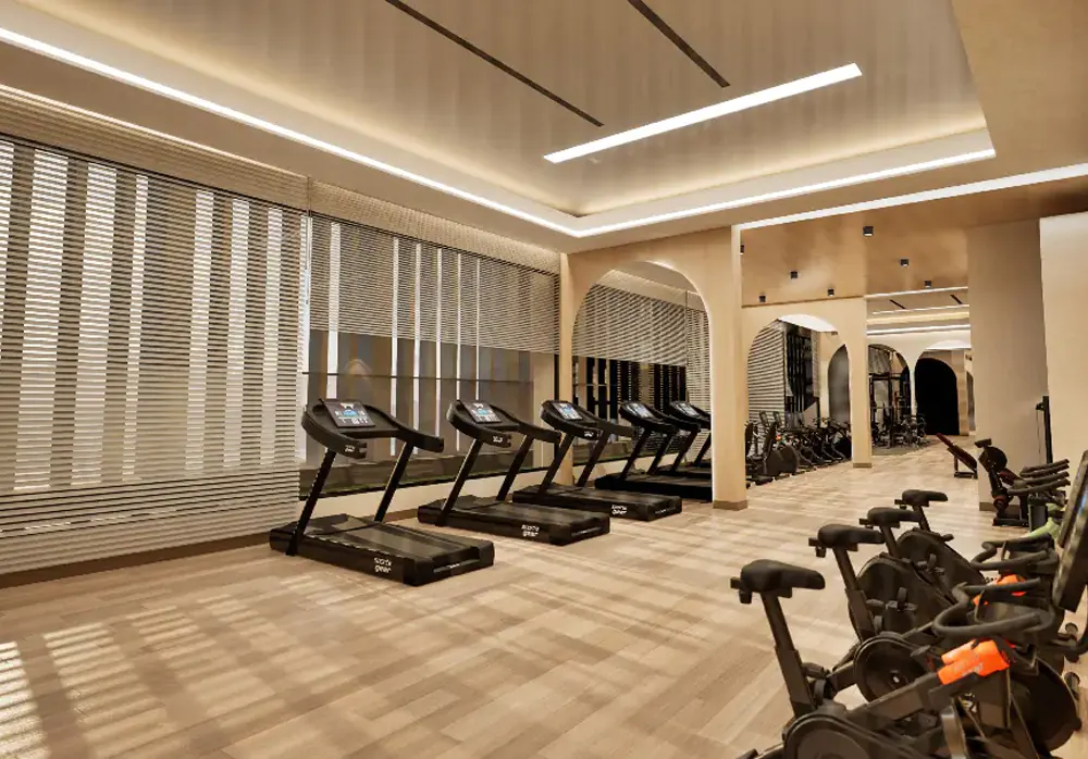 Gymnasium